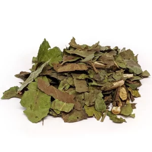 CHA - GUAÇATONGA