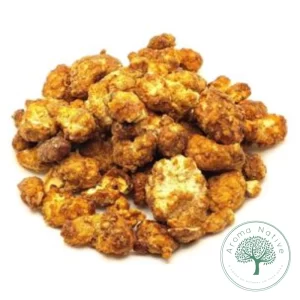 CASTANHA DE CAJU CARAMELIZADA OVOMALTINE